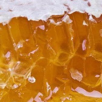 ❇️アカシア蜂蜜５本&百花蜜５本　生はちみつ　非加熱ハチミツ