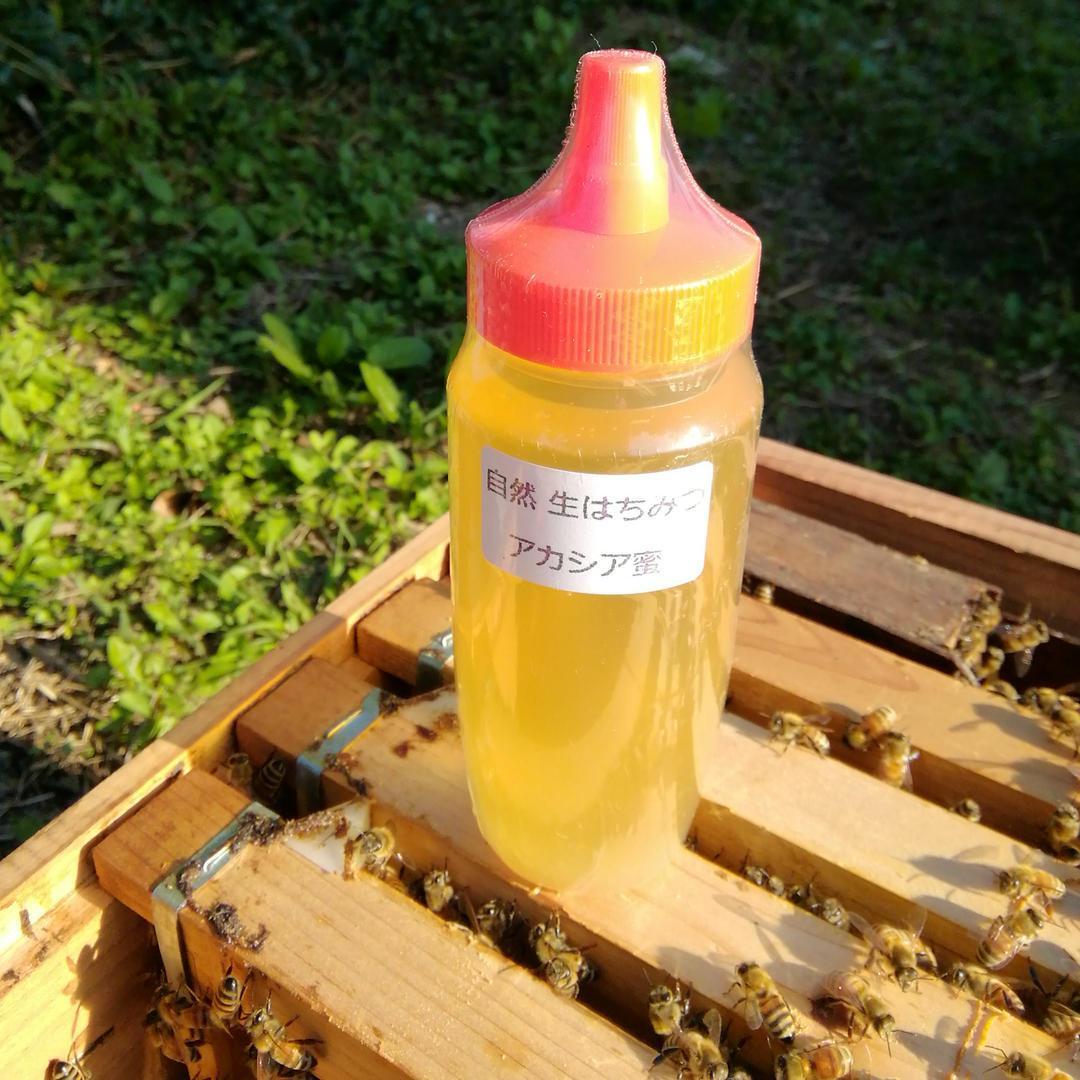 ❇️アカシア蜂蜜５本&百花蜜５本　生はちみつ　非加熱ハチミツ