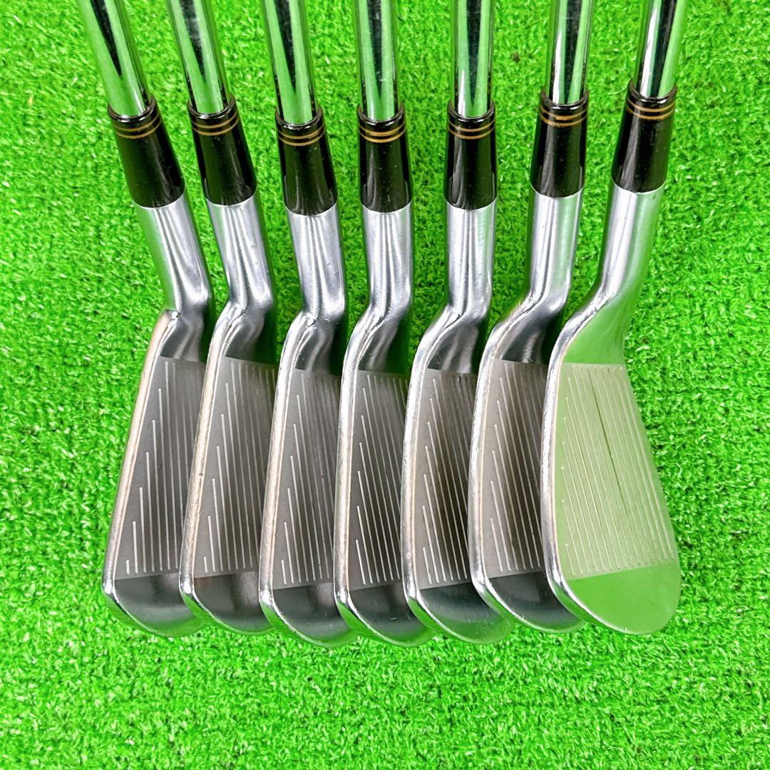 【希少】 LEXUS PREMIUM FORGED 4〜9.P 三浦技研 軟鉄