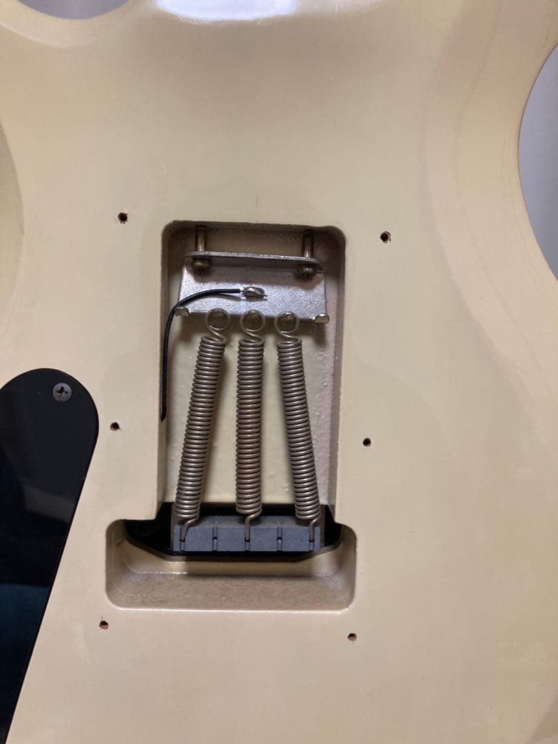 グラスルーツ　フォレストタイプ　エレキギター Duncan Designed