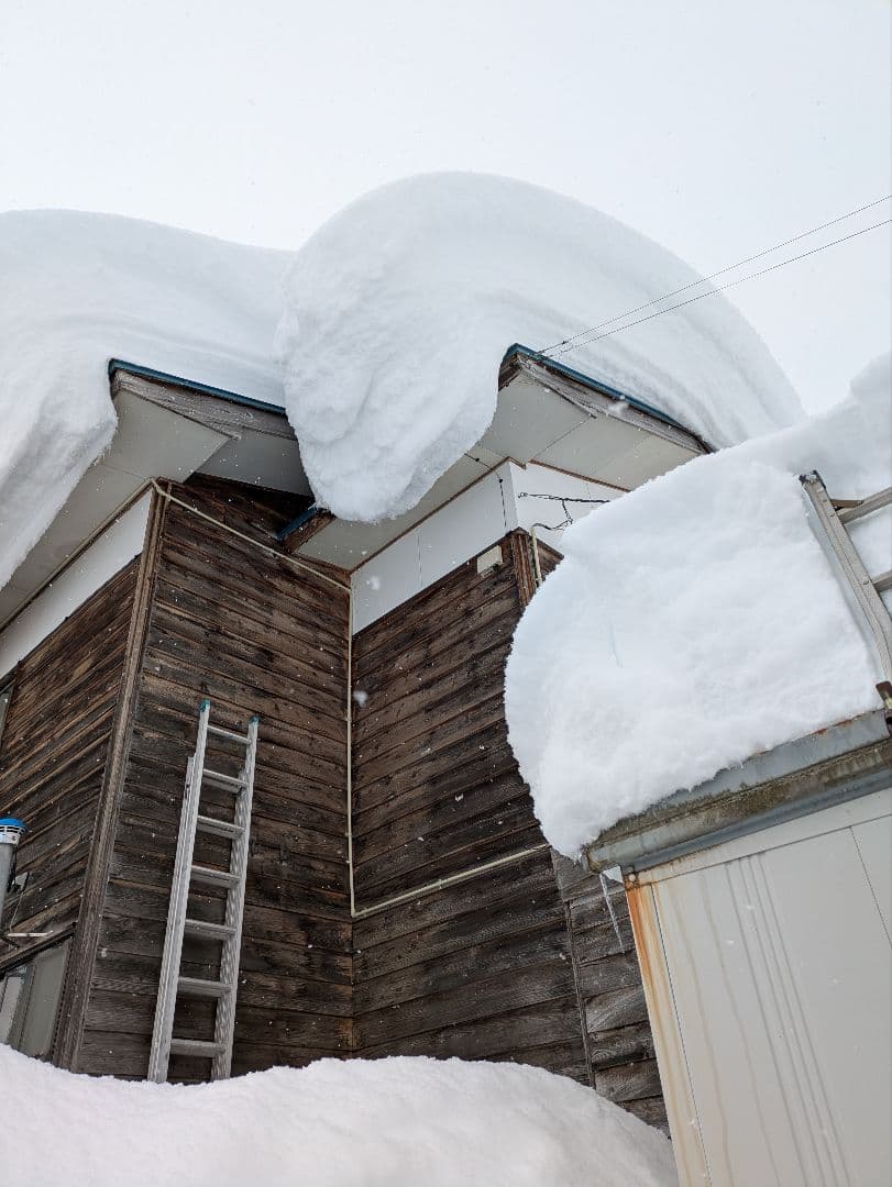 頑張ろ福島　令和７年度産会津コシヒカリ玄米30キロ着払い