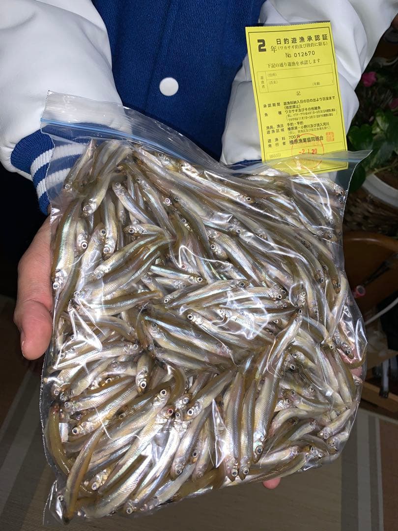 ワカサギ竿　ステンレス穂先255ミリ　　２本セット　80ミリ延長アダプター２本