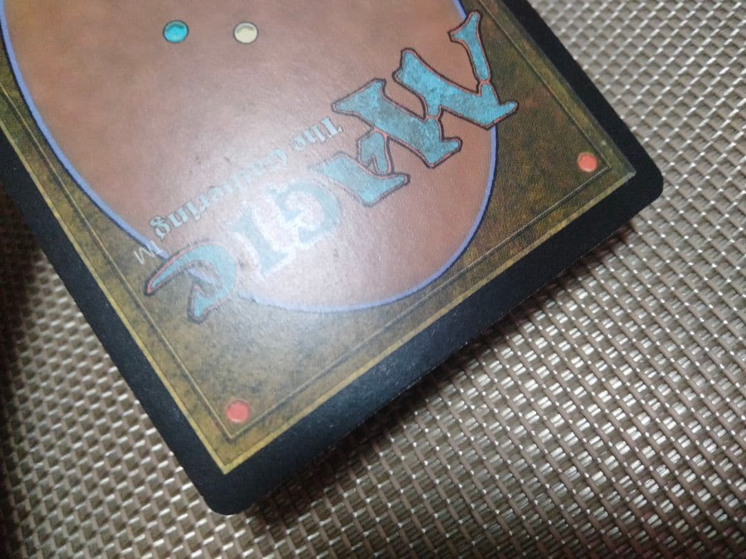 【ご確認用】ゼンディカー foil 貪欲な罠 日本語 1枚　MTG