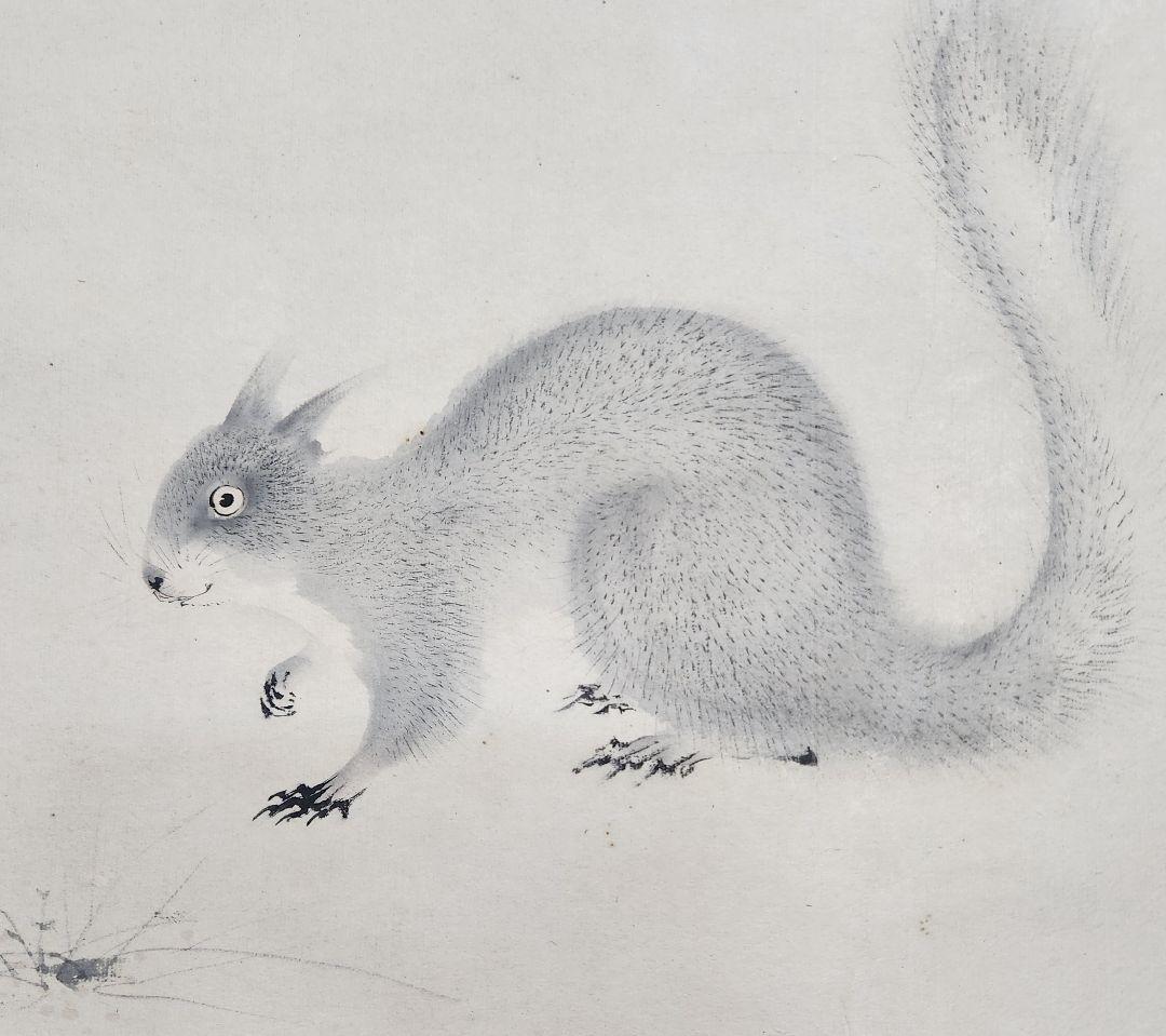 【リス図】永田春水 2602 栗鼠　掛け軸　肉筆