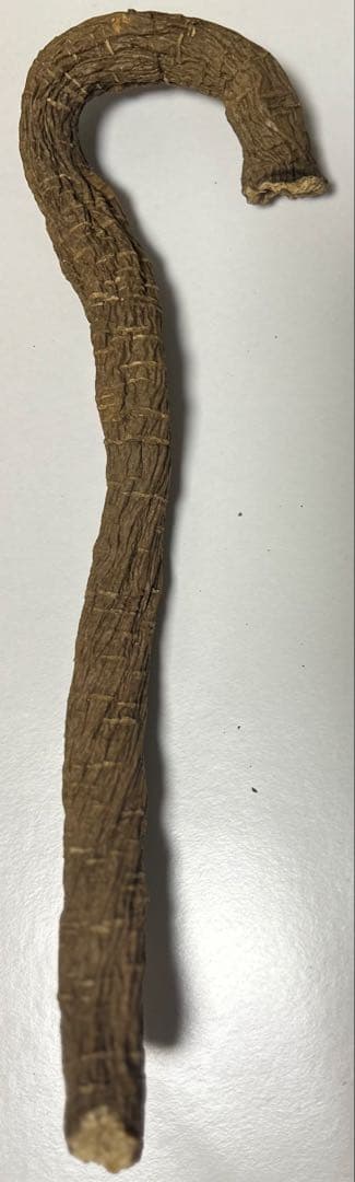 金カム　ゴールデンカムイ　イケマの根　★おまけ付★