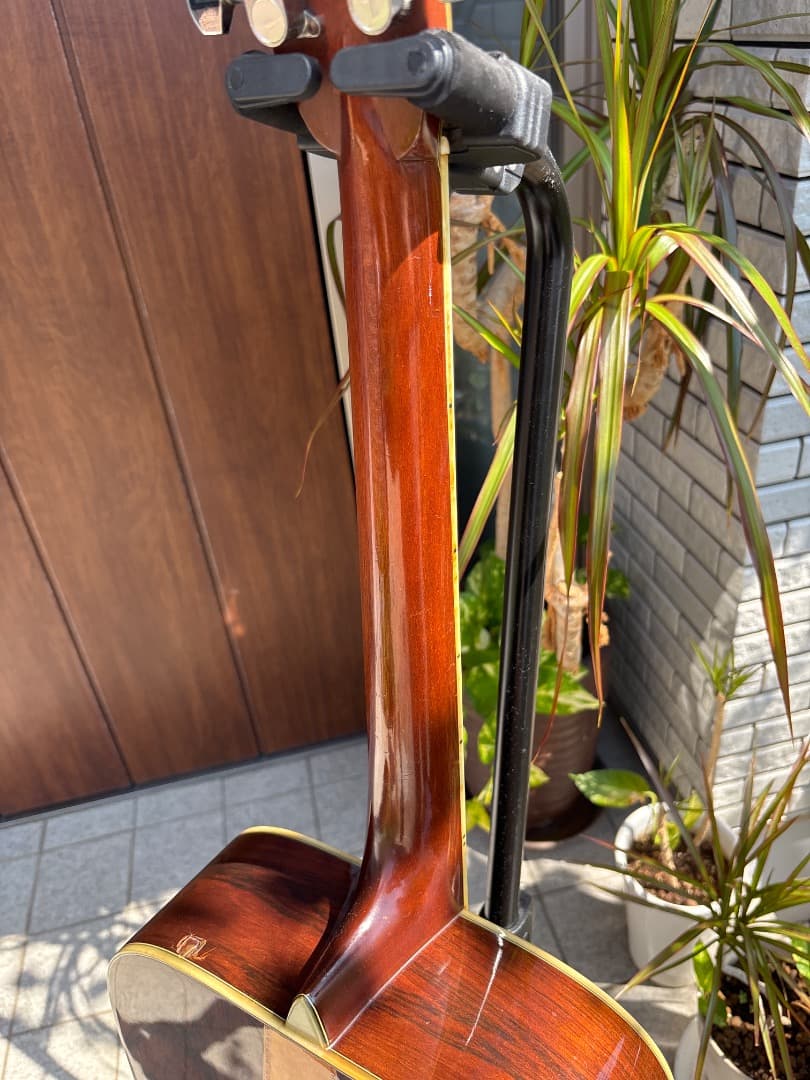 Morris W-60 トップ単板　サイド、パックはハカランダ