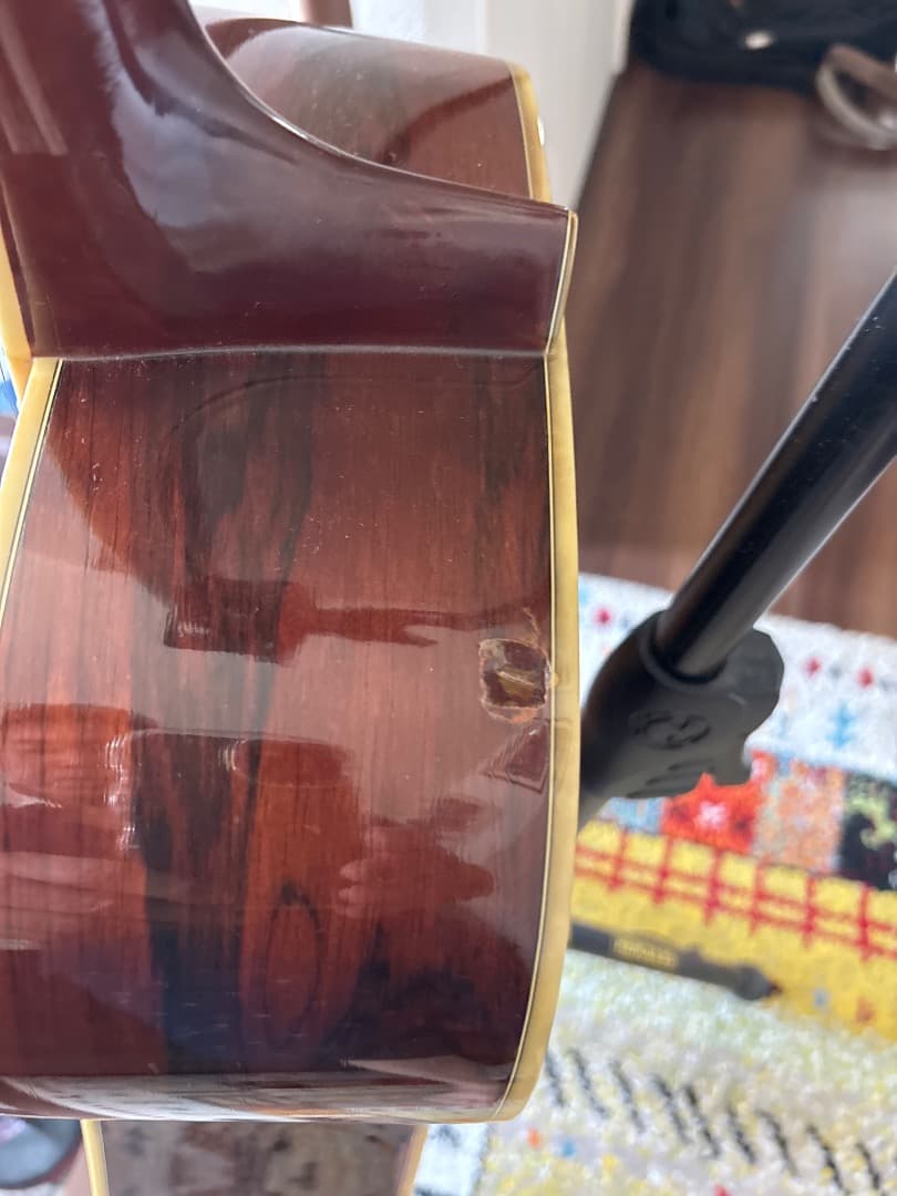 Morris W-60 トップ単板　サイド、パックはハカランダ