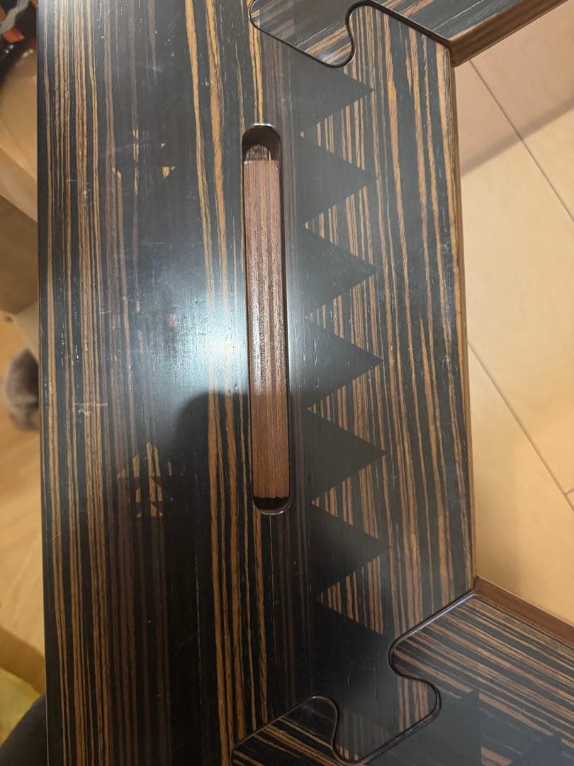 WARUしま次郎　the arth ケース付き