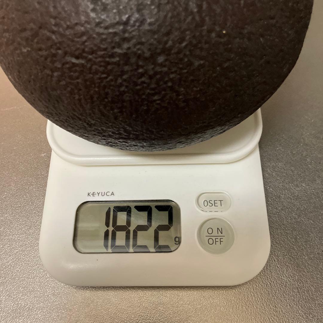 鉄瓶 蓋付き　龍文堂