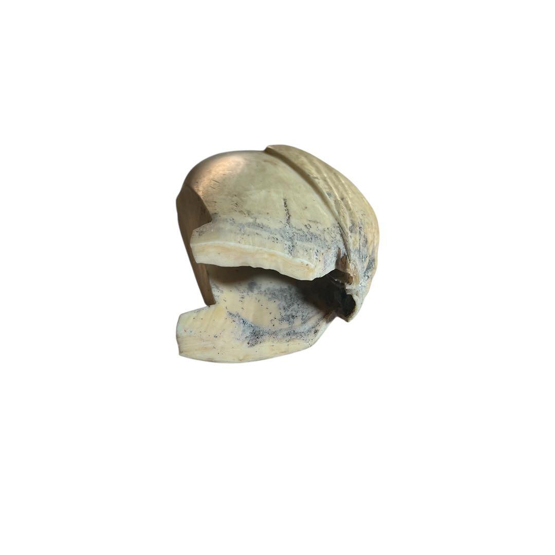 マッコウクジラの歯 ペンギン置物　鯨の歯