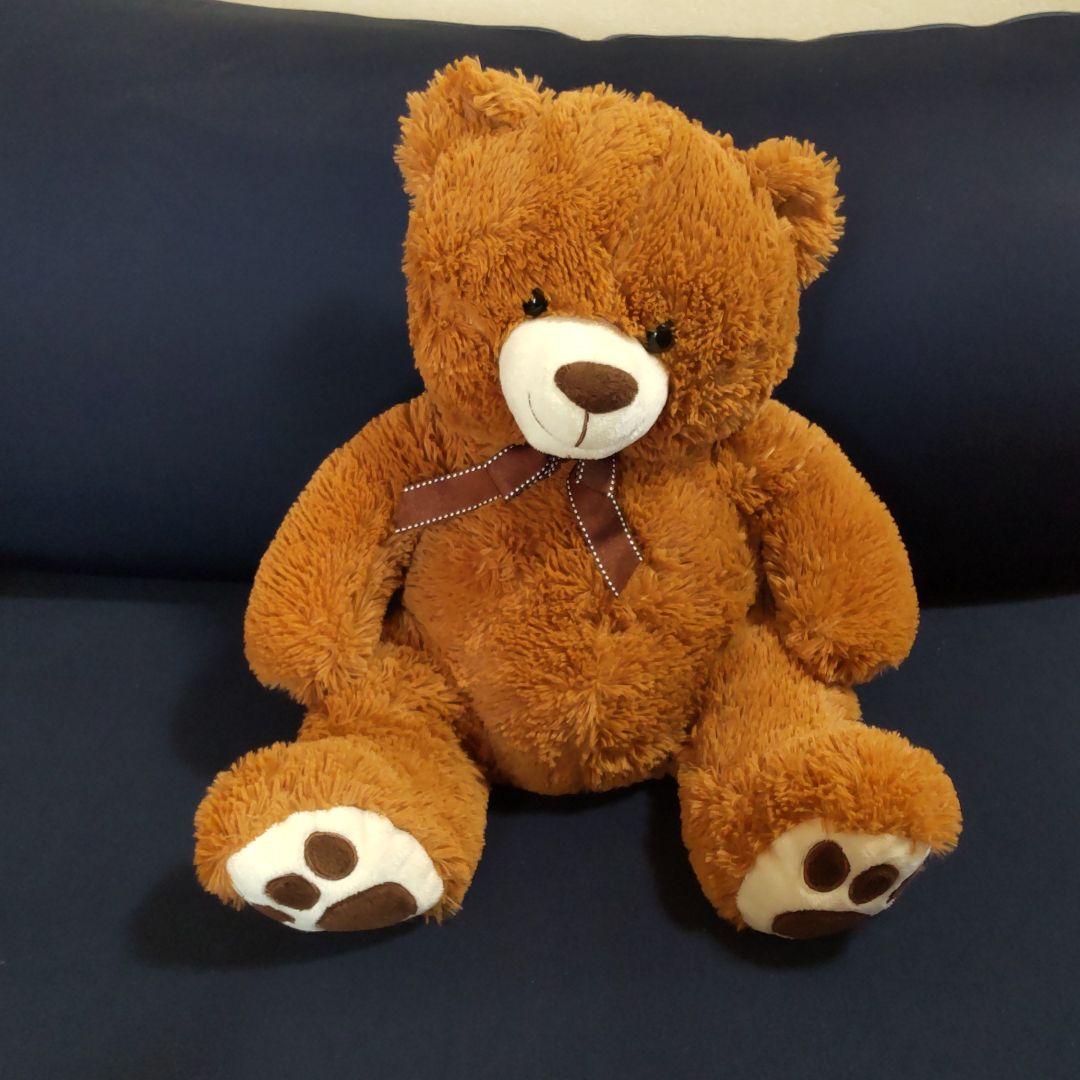 ブラウンベア・中・