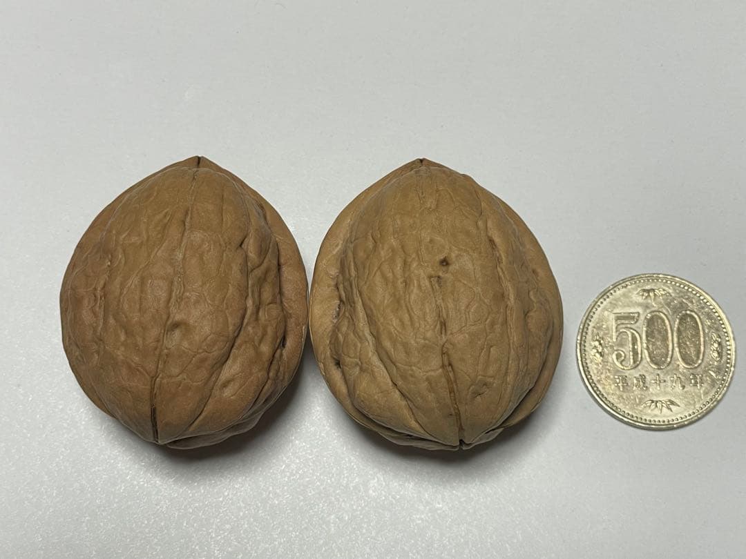 信濃くるみ【大きいサイズ】2キロ