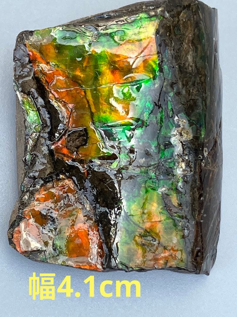 化石　原石　アンモライト　アンモナイト　カナダ産　幅4.1cm 置物　箱付き