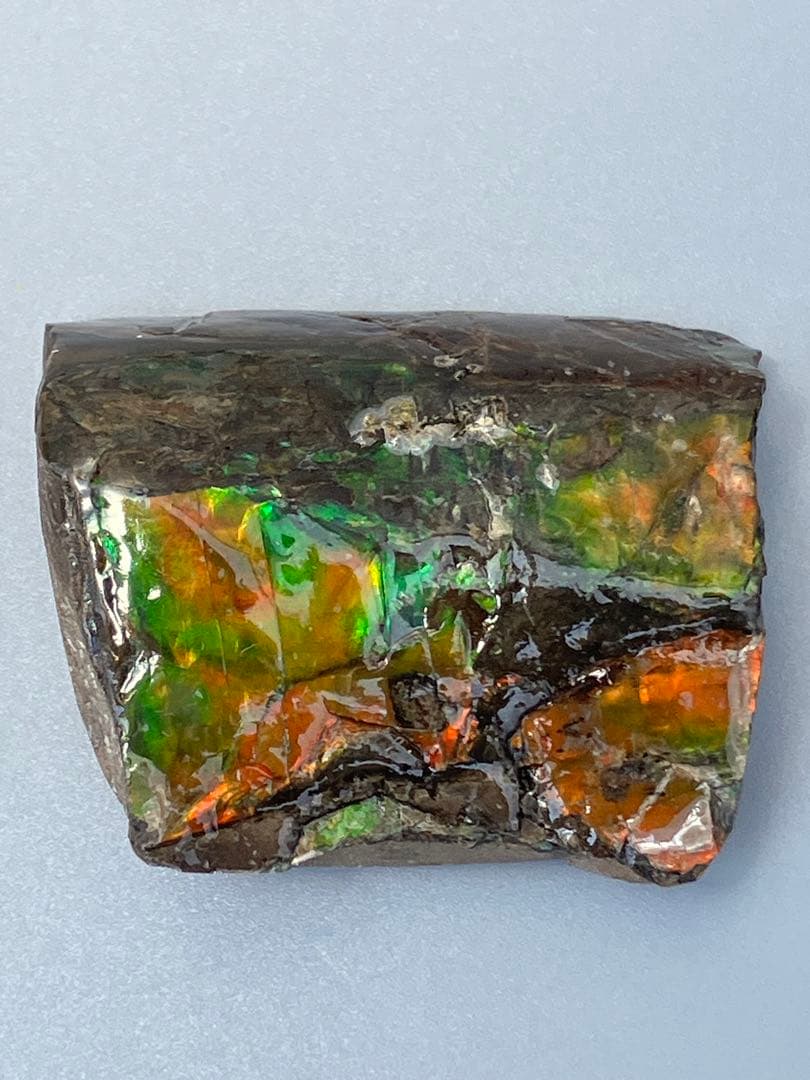 化石　原石　アンモライト　アンモナイト　カナダ産　幅4.1cm 置物　箱付き