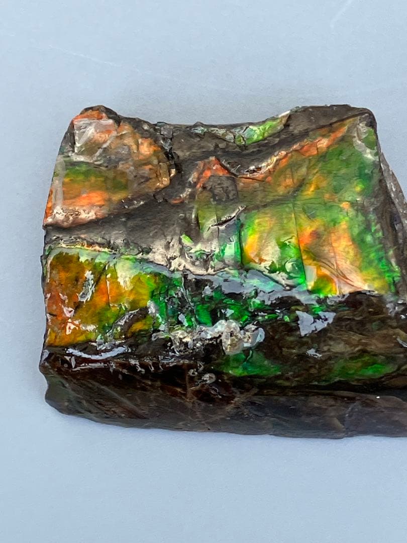 化石　原石　アンモライト　アンモナイト　カナダ産　幅4.1cm 置物　箱付き