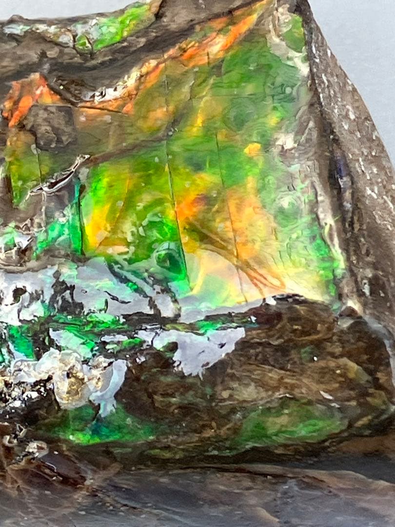 化石　原石　アンモライト　アンモナイト　カナダ産　幅4.1cm 置物　箱付き