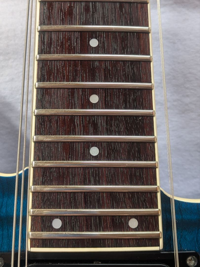 FERNANDES APG-55S Blue フェルナンデス　サスティナー