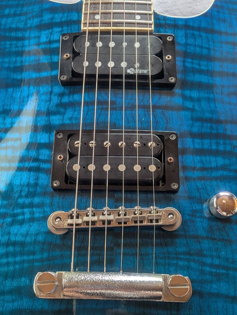 FERNANDES APG-55S Blue フェルナンデス　サスティナー