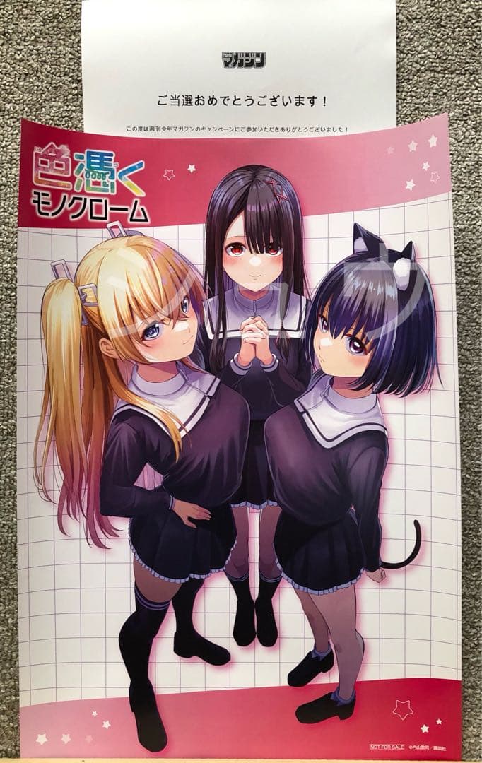 【非売品】色憑くモノクローム ポスター 抽プレ 当選証書付