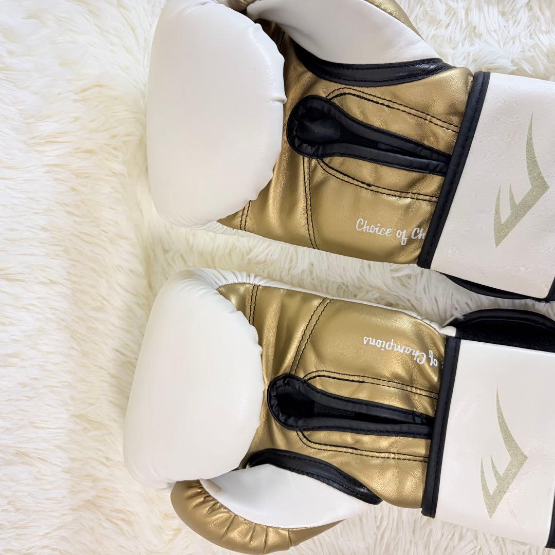 ボクシング EverlastPowerlock Boxing Gloves