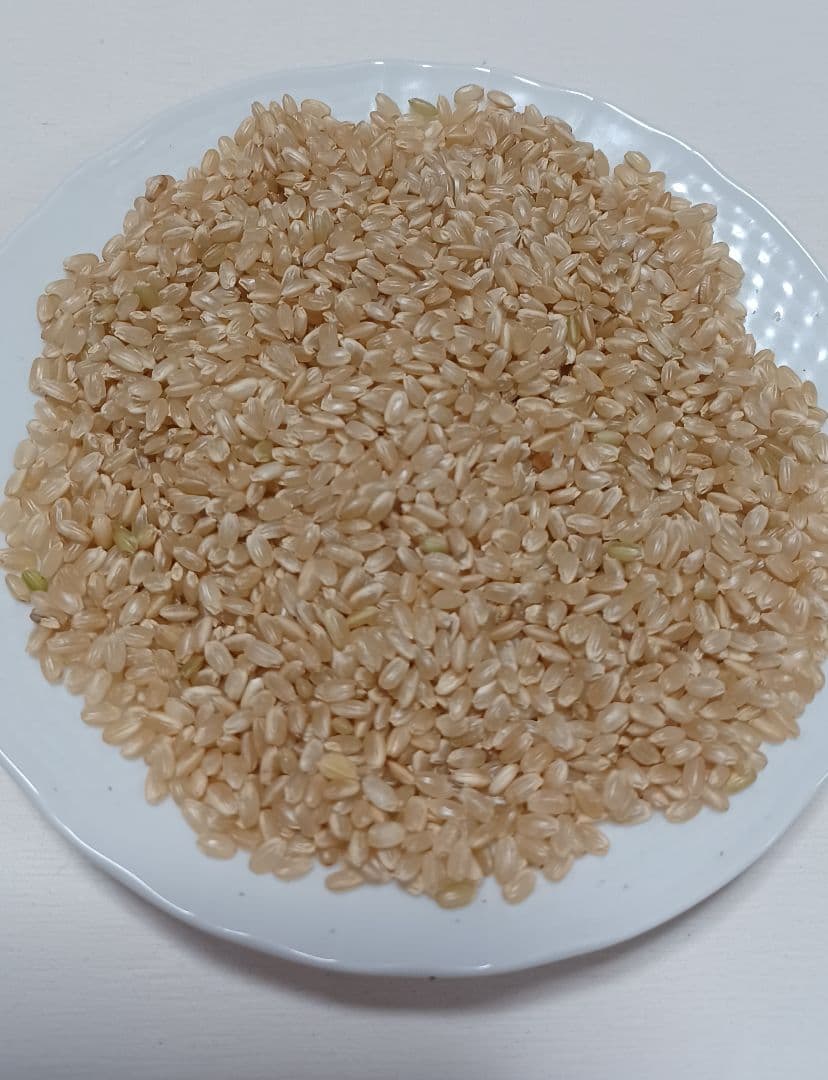 令和7年　奈良県産ヒノヒカリ　玄米20kg