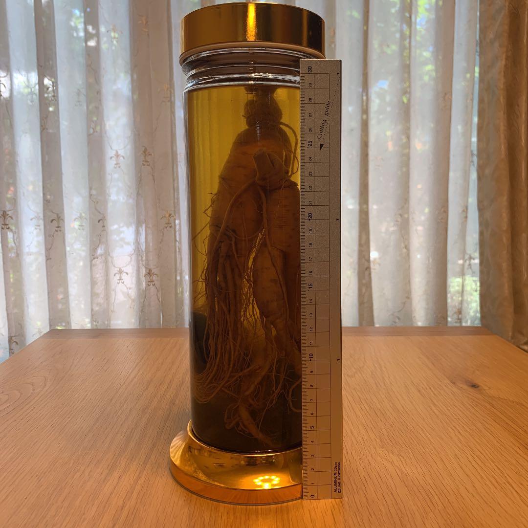 朝鮮人参　ナツメ　漢方薬入り　25年　古酒　個装無し