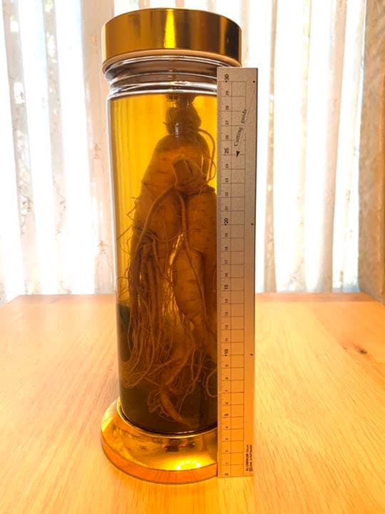 朝鮮人参　ナツメ　漢方薬入り　25年　古酒　個装無し