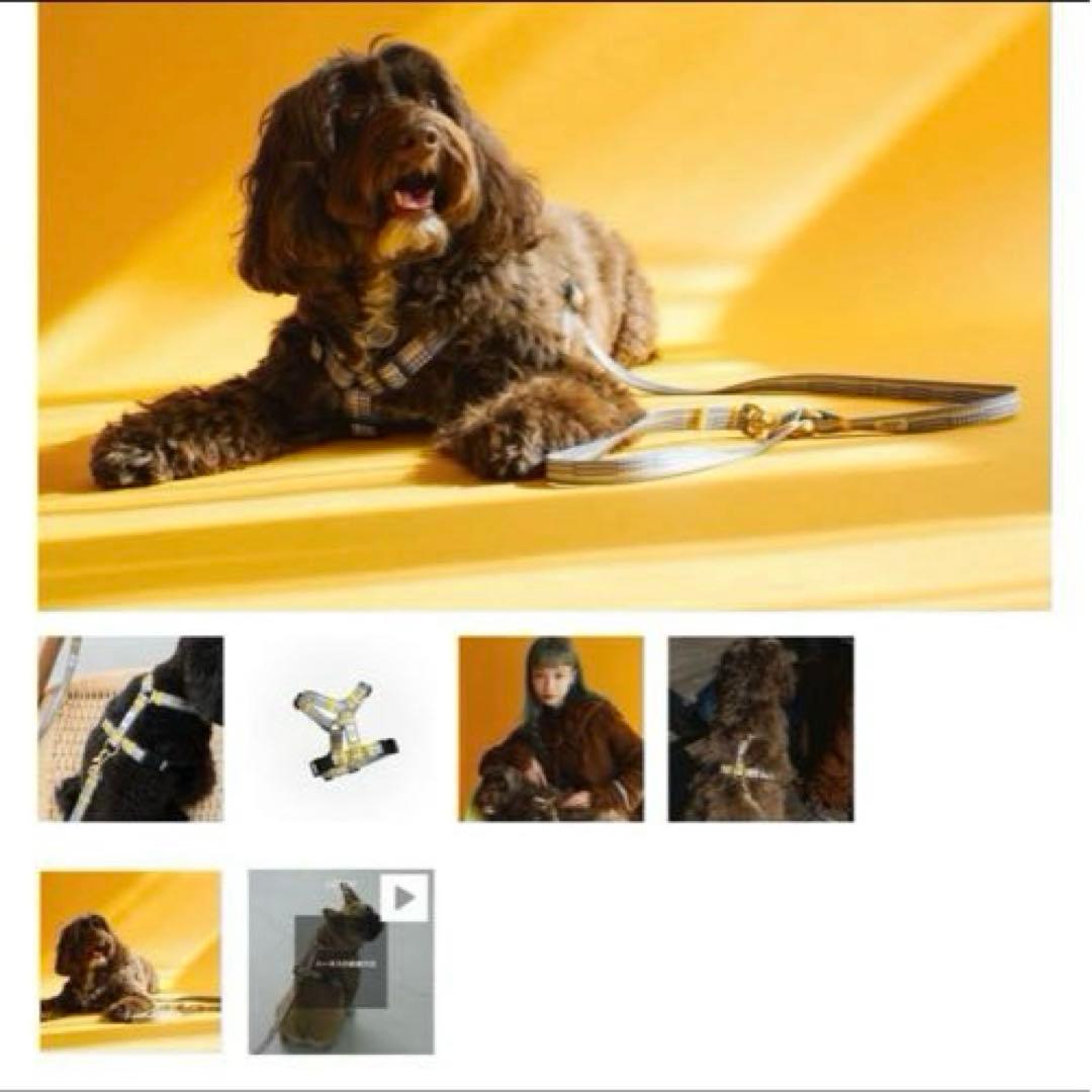 ciiron Tokyo ハーネスとリードのセット　グレンチェック