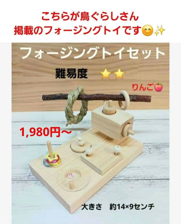 u71　⭐　フォージングトイセット⭐　輪投げ　バードトイ　文鳥　インコ