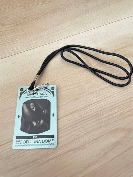 レディーガガVIPグッズ