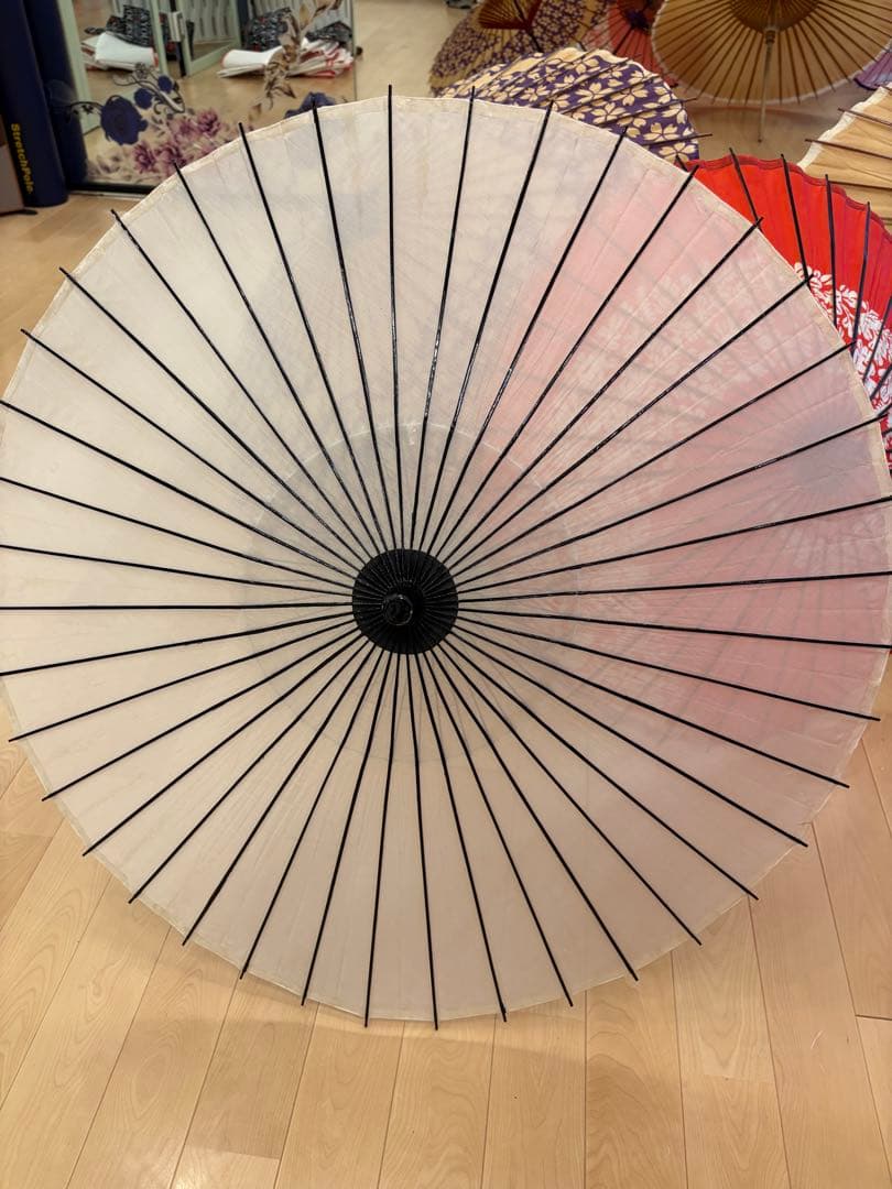 日本舞踊 舞踊傘 セット