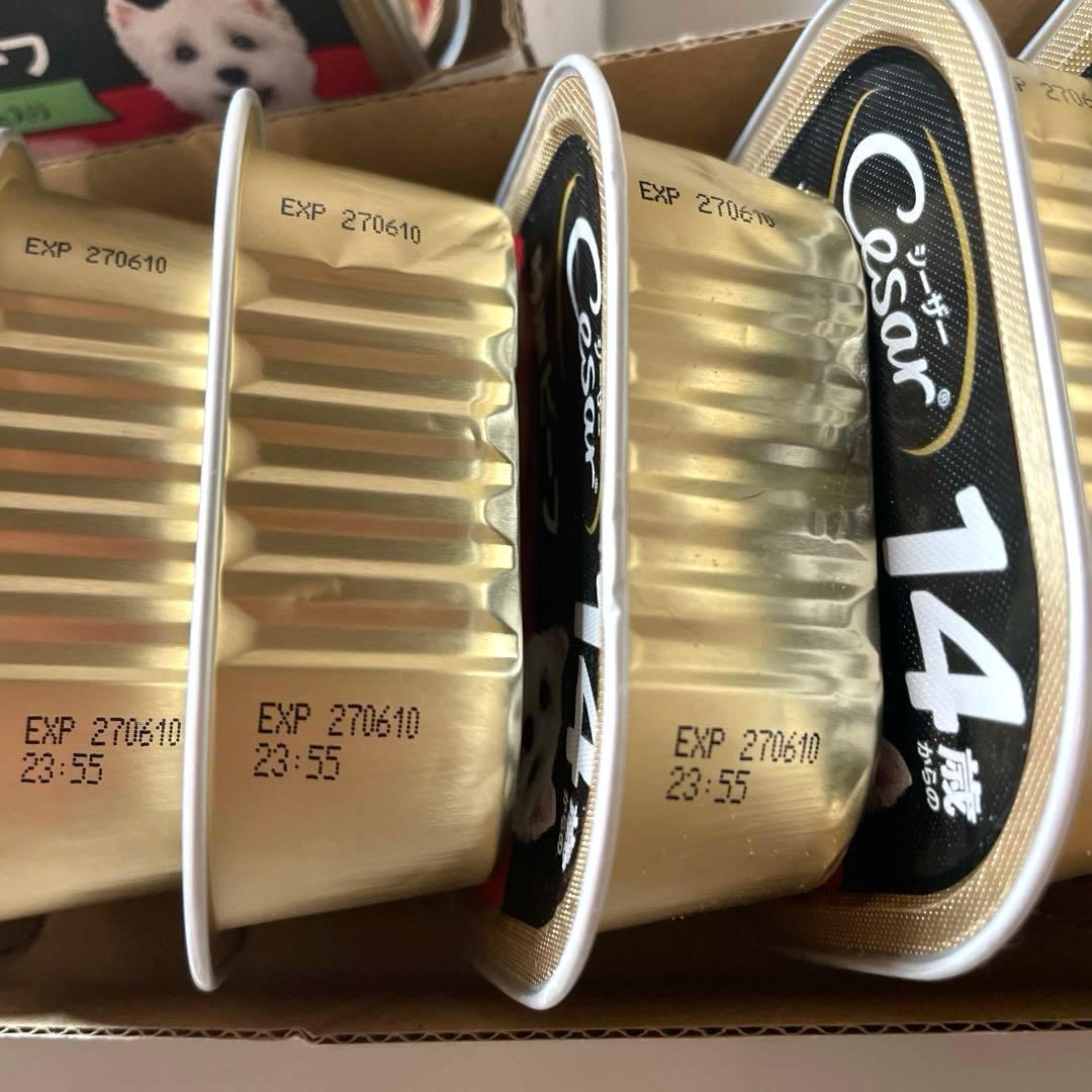 シーザー　ウェットフード　14歳以上　シニア　シニア犬の食事