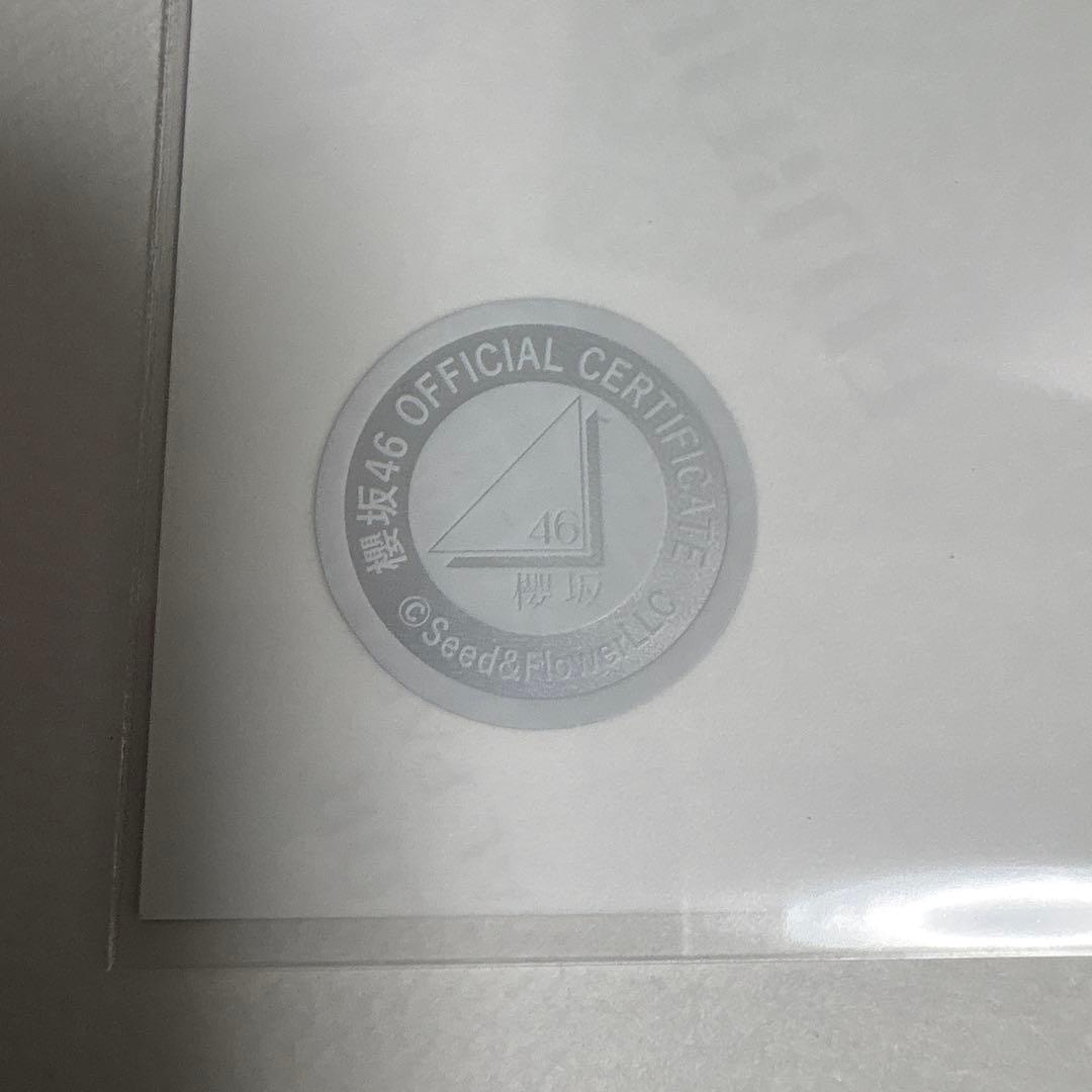 小島凪紗 櫻坂46 2025年 サンタ 生写真 直筆サイン