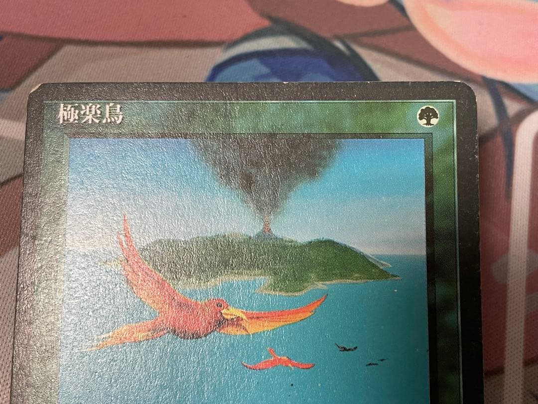 MTG 極楽鳥 4ED 日本語FBB