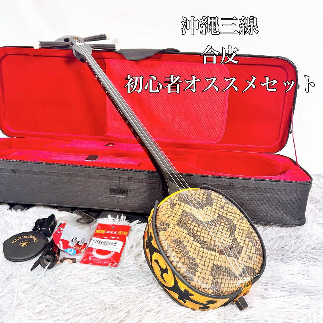沖縄三線 三味線　人工　初心者オススメセット　ケース付