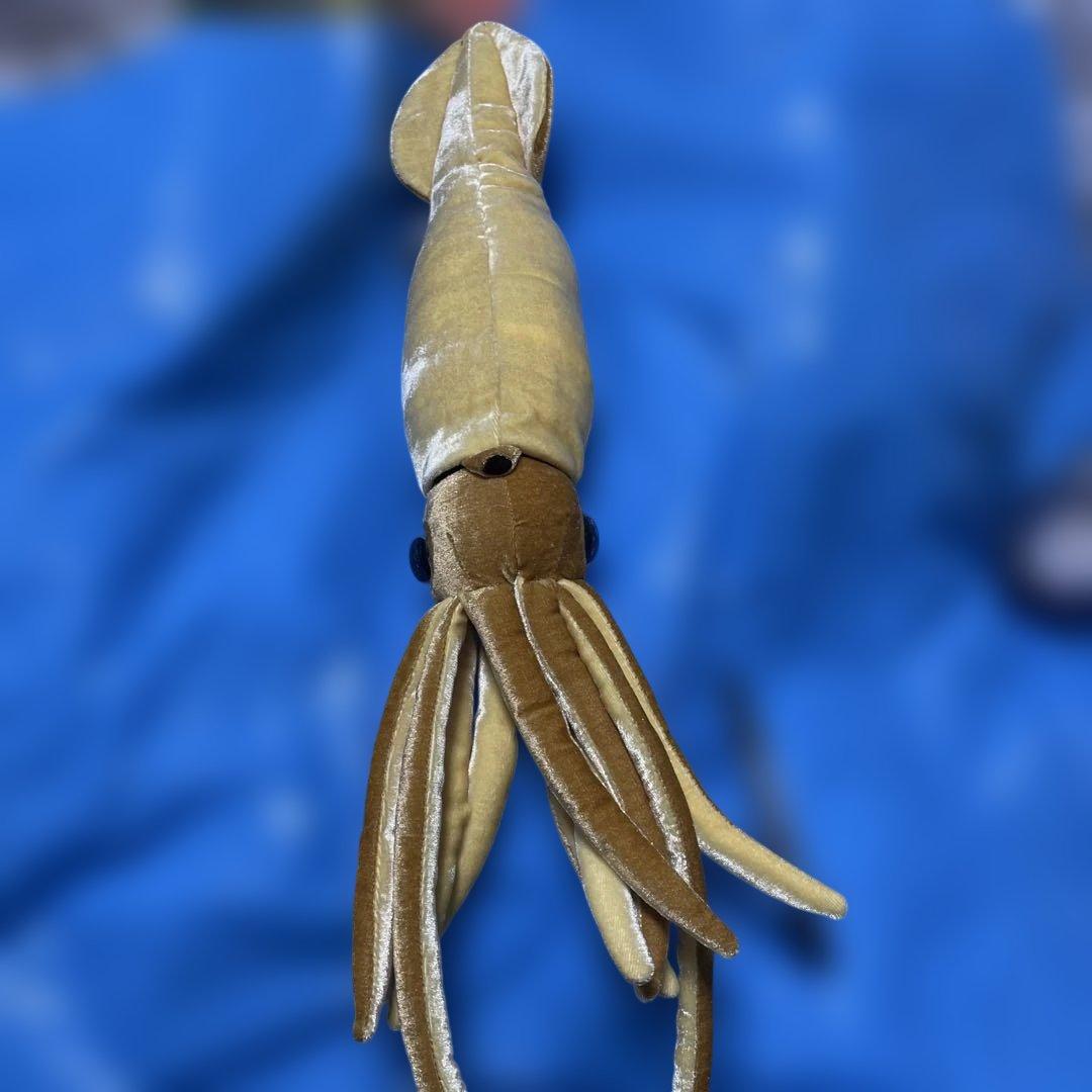 ダイオウイカのぬいぐるみ