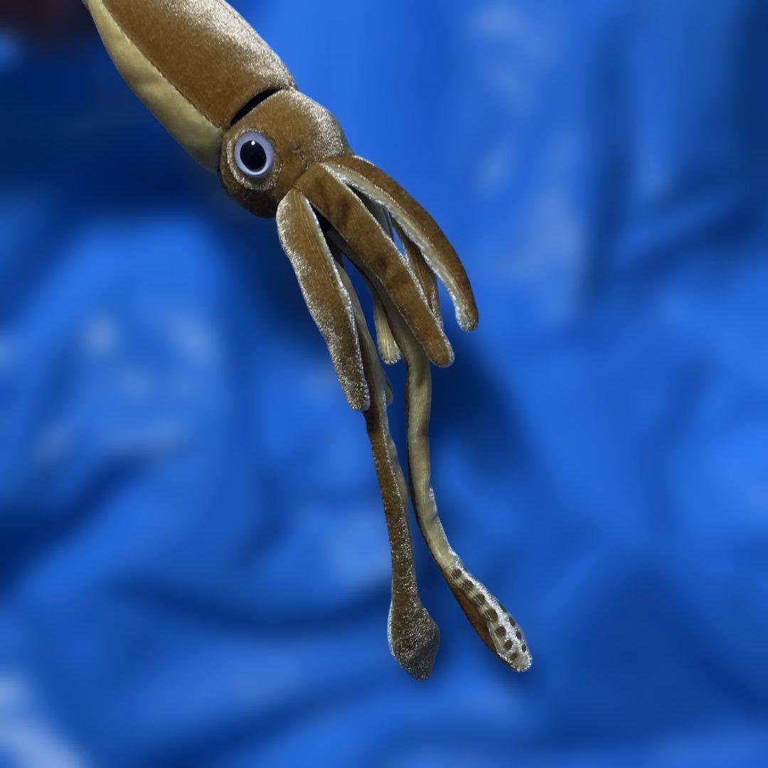ダイオウイカのぬいぐるみ