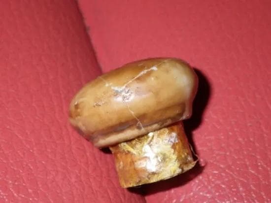 50'S★死神★スカル★デカンタ★ビンテージ★ポイズンボトル★髑髏★骸骨★毒瓶