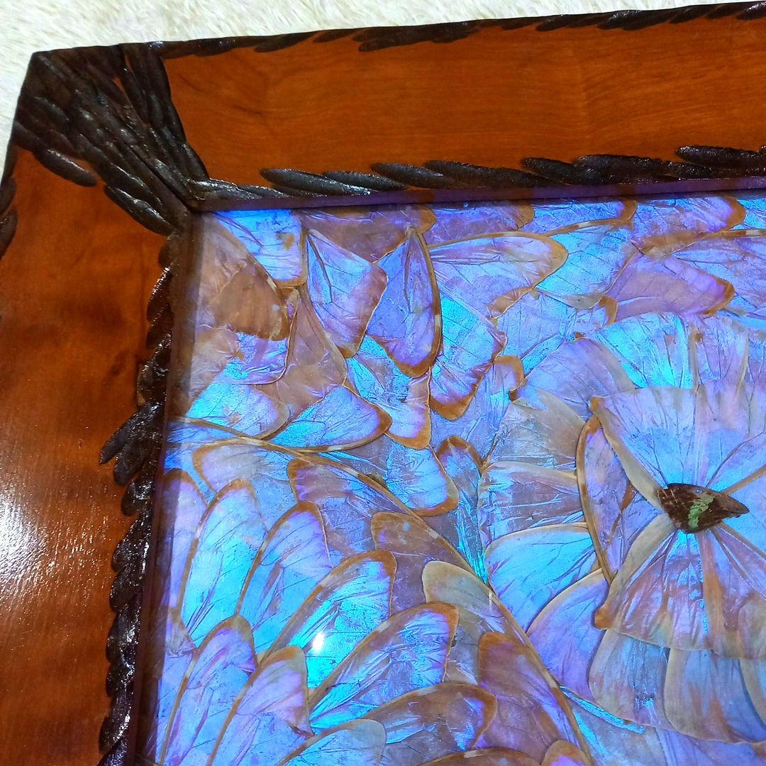 希少 羽根細工 モルフォ蝶◆蝶羽画 絵画 木製額