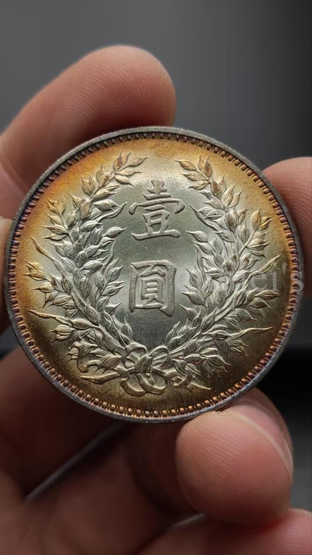 中華民国九年 袁大頭 銀貨 袁世凱 一圓 古銭・紀念幣・大型銀貨・硬貨