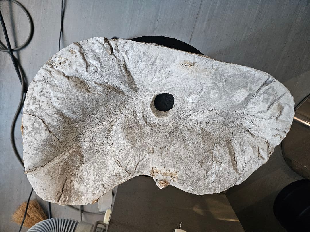 フランスの石膏型の蓋部分 アンティーク ヴィンテージ オブジェ シャビー