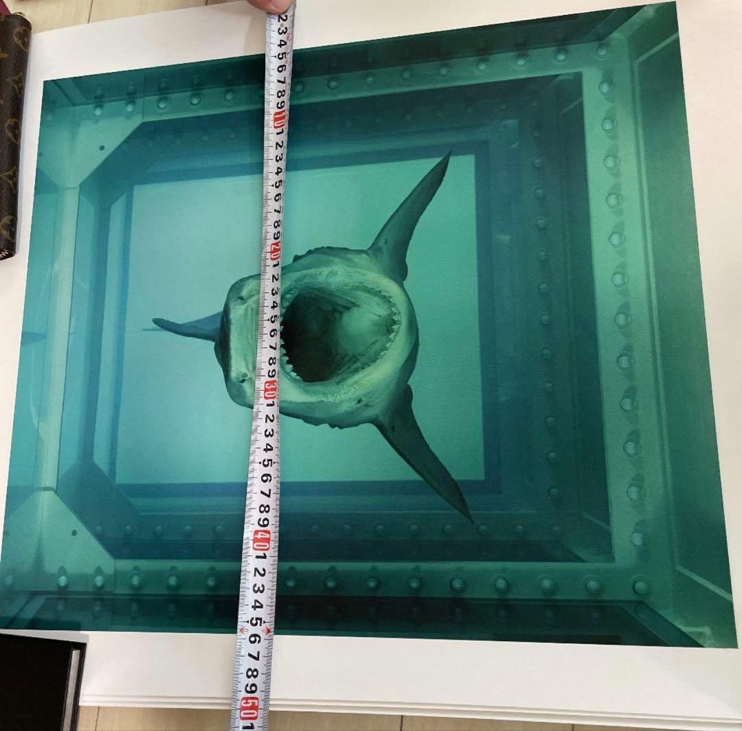 ダミアンハースト　ポスター　サメ