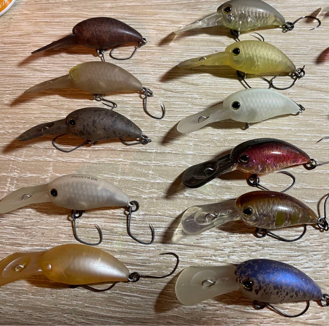 【オリカラ】パニクラDR エリアトラウト