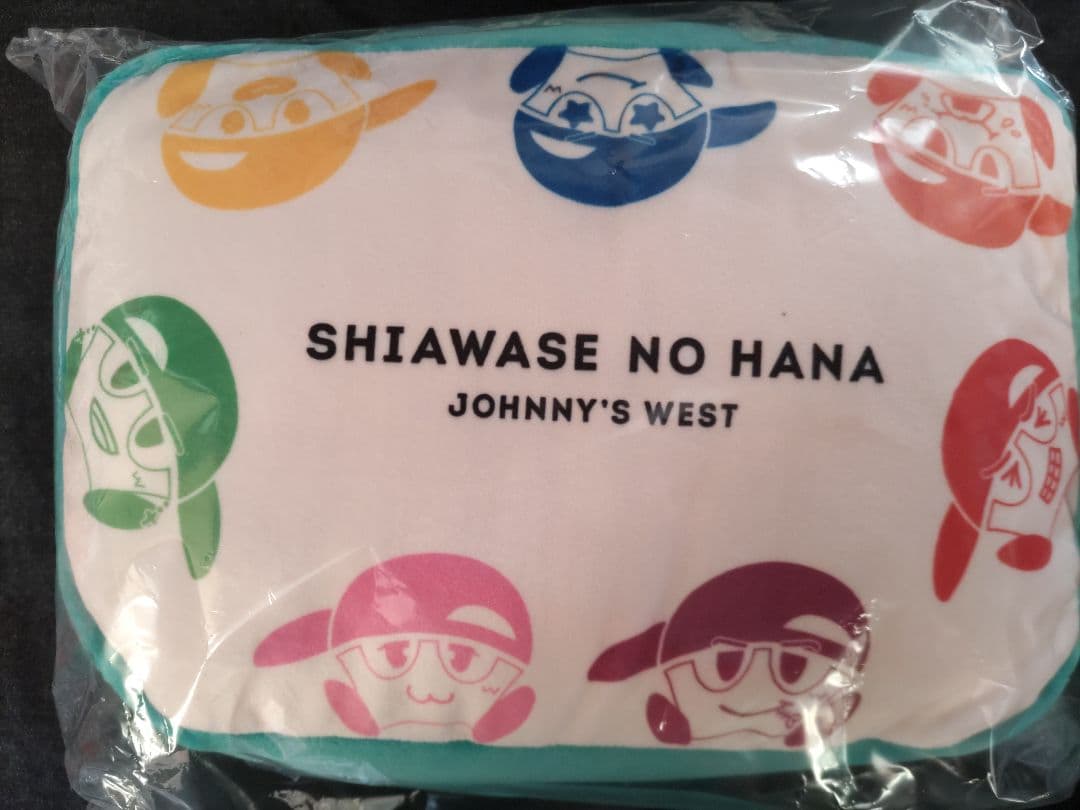 WEST.　タペストリー　バッグ　クッション