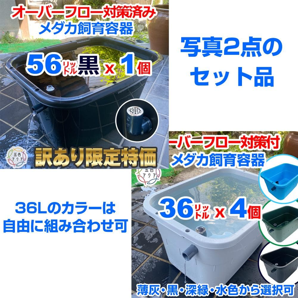 【訳あり特価】メダカ飼育ケース 56㍑訳あり品黒x1個 + 36㍑通常品x4個