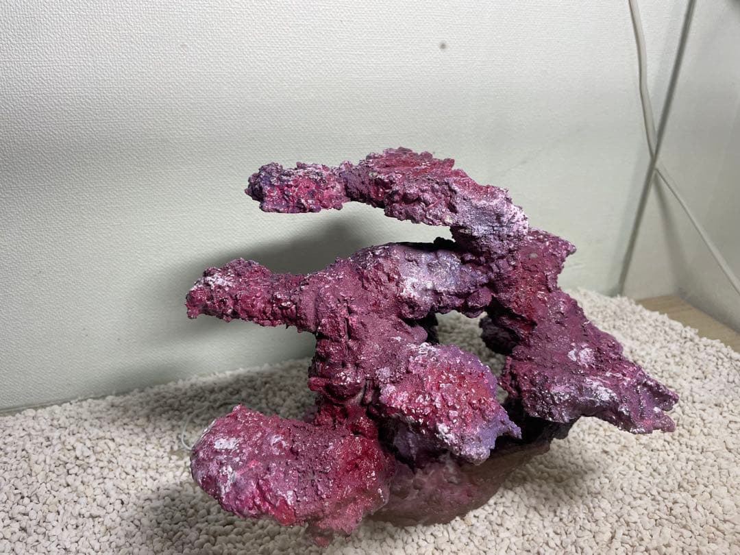 現品在庫SALE！人工ライブロック　SHR24 アク抜き済み安心塗料使用