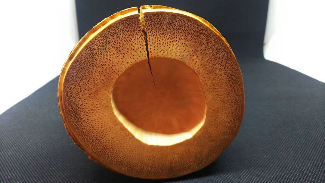 値下げしました！　十四世淡々斎　宗室　花押 黒田正玄作 竹一重花入 銘「菱雲」