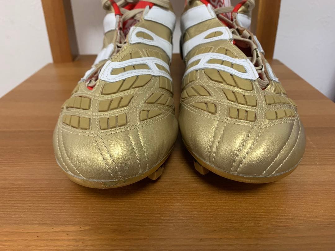 プレデターアクセレレイター　PredatorAccelerator　26cm新品