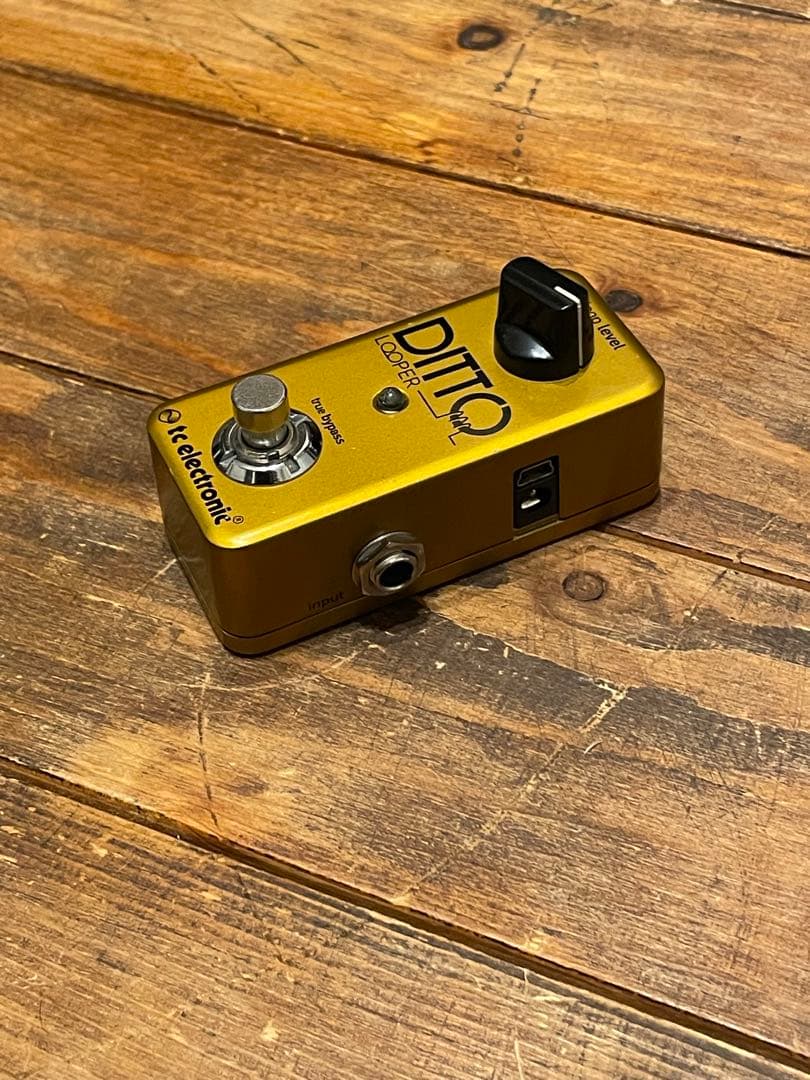 ギター Ditto Looper GOLD Limited