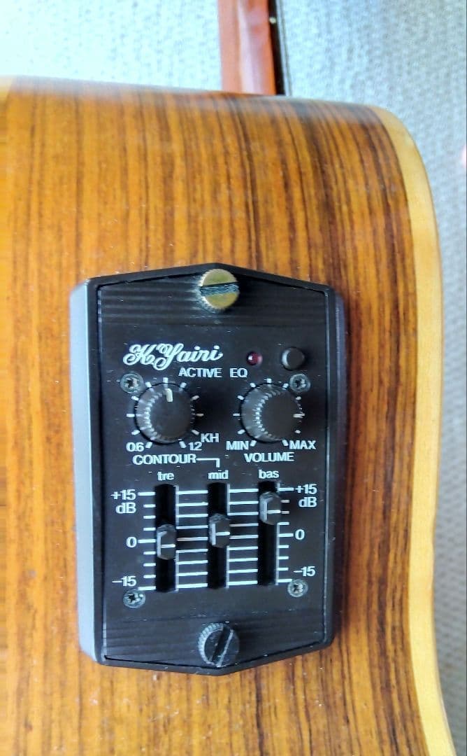 【要コメント】さま専用 ヤイリギター WEIR-1E